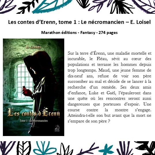 Contes d'Erenn.jpg